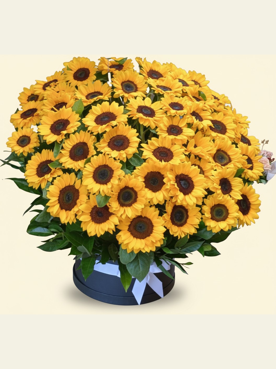 CE-12 · Caja — Florería Mely Flor